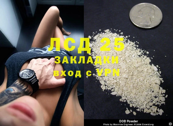 прущие грибы Алексин