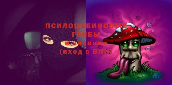 прущие грибы Алексин