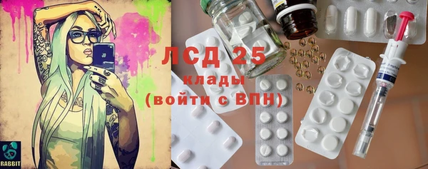 прущие грибы Алексин