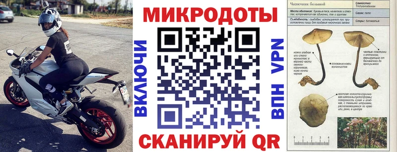Псилоцибиновые грибы MAGIC MUSHROOMS  mega онион  Сураж 